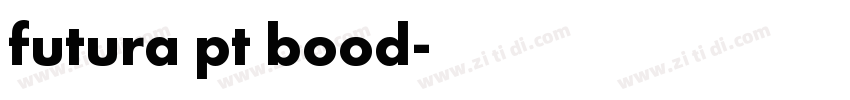 futura pt bood字体转换